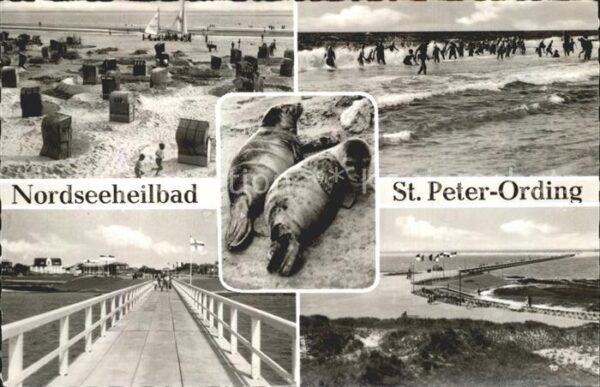 St Peter-Ording Strand Brücke Seehunde