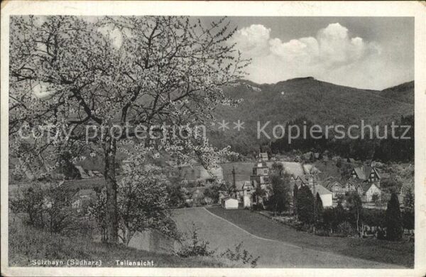 Suelzhayn Teilansicht