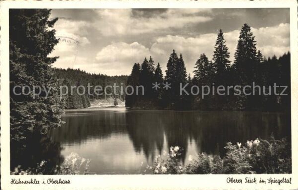 Hahnenklee-Bockswiese Harz Oberer Teich Spiegeltal