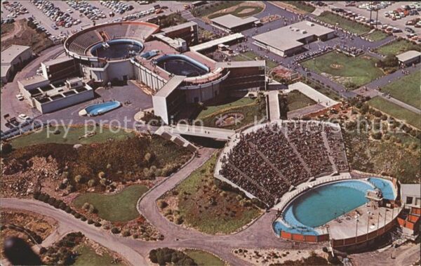 Marineland Pools Verdes Drive