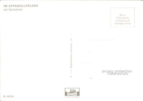 Alphorn Alphornbläser Fahnenschwinger Appenzell – Bild 2