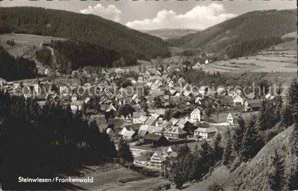 Steinwiesen