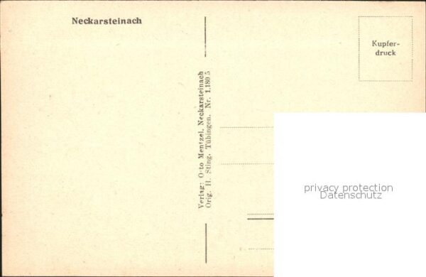 Neckarsteinach Totalansicht – Bild 2