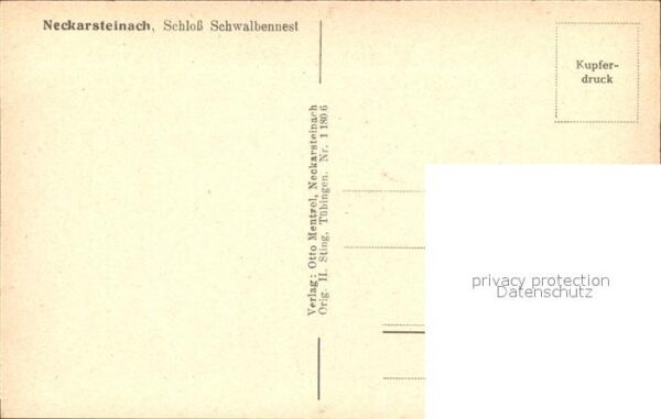 Neckarsteinach Schloss Schwalbennest – Bild 2