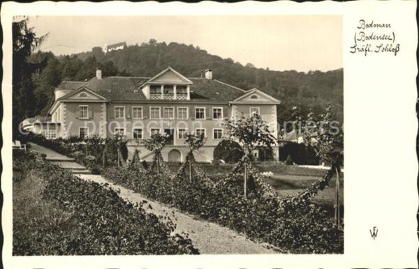 Bodman-Ludwigshafen Gräfliches Schloss