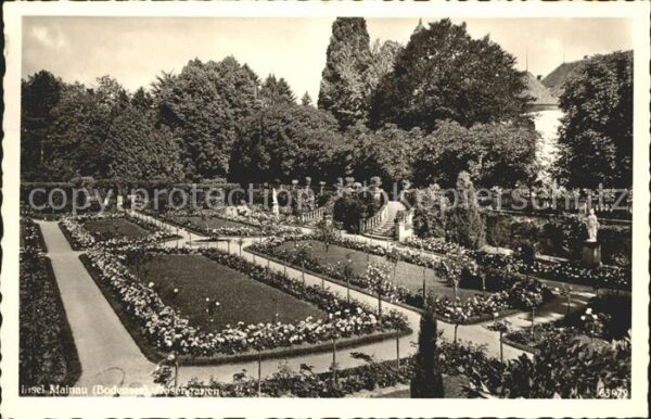 Insel Mainau Rosengarten