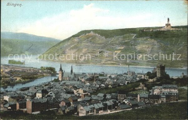 Bingen Rhein Panorama
