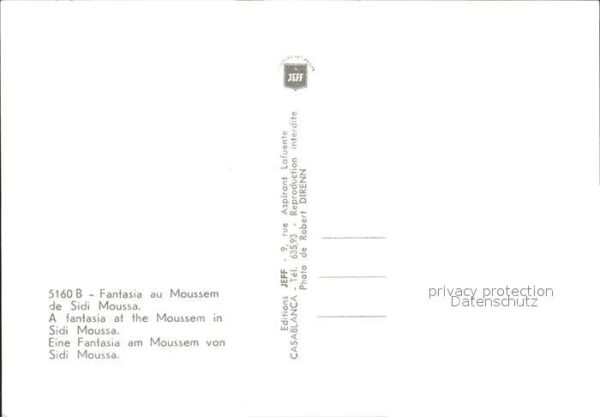 Sidi Moussa Fantansia am Moussem Reiter Araberpferd – Bild 2