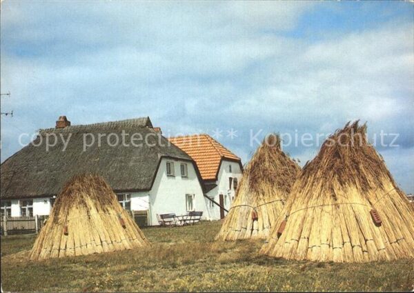 Insel Hiddensee Wohnhäuser Schilfrohr