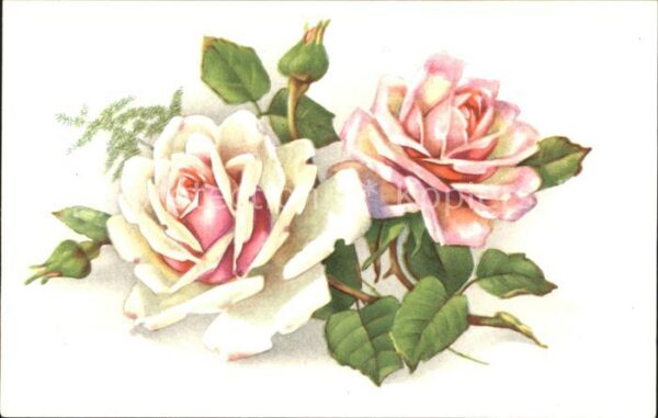 Rosen