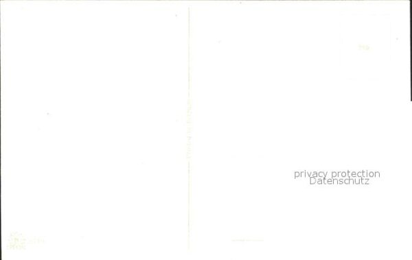 Rosen – Bild 2