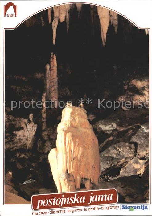 Hoehlen Caves Grottes Postojnska Jama Slowenien