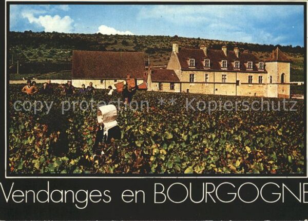 Wein Vendange Bourgogne