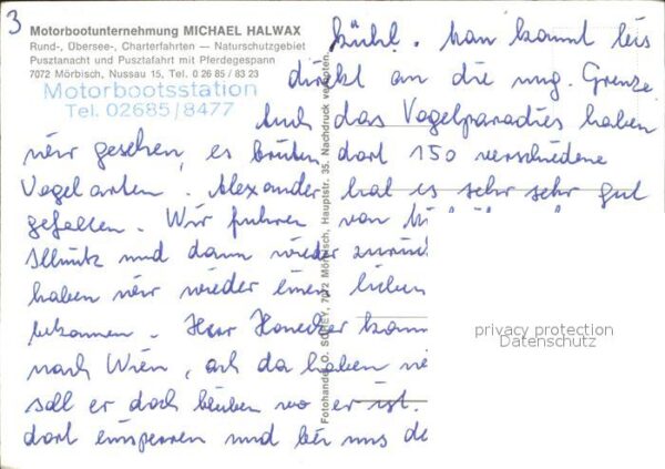 Motorboote Halwax Mörbisch am See – Bild 2