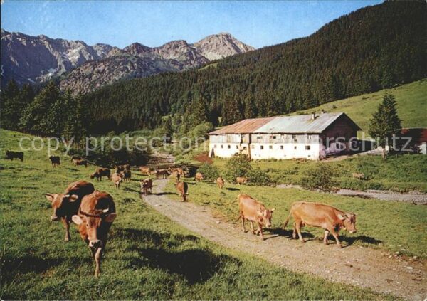Hindelang Bad Alpe Mitterhaus mit Nebelhorn