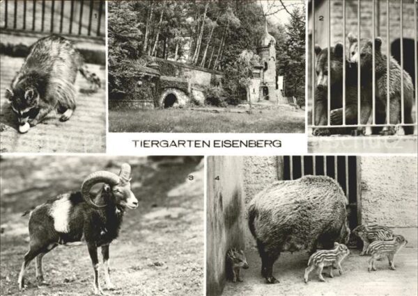 Eisenberg Allgaeu Tiergarten