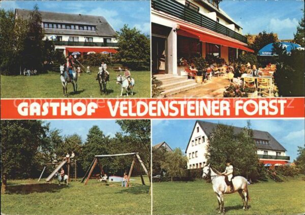 Bernheck Gasthaus Veldensteiner Forst Pferde