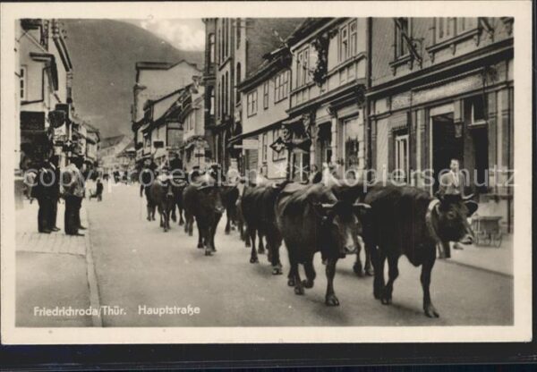 Friedrichsroda Hauptstrasse mit Kuhherde