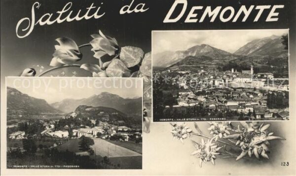 Torino Demonte