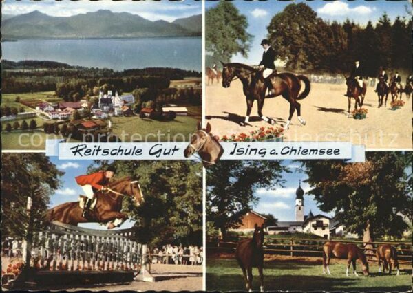 Ising Chiemsee Reitschule Gut Dressur und Springreiter