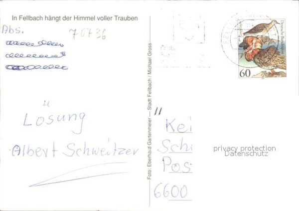 Fellbach Stadtansicht aus den Rebbergen – Bild 2