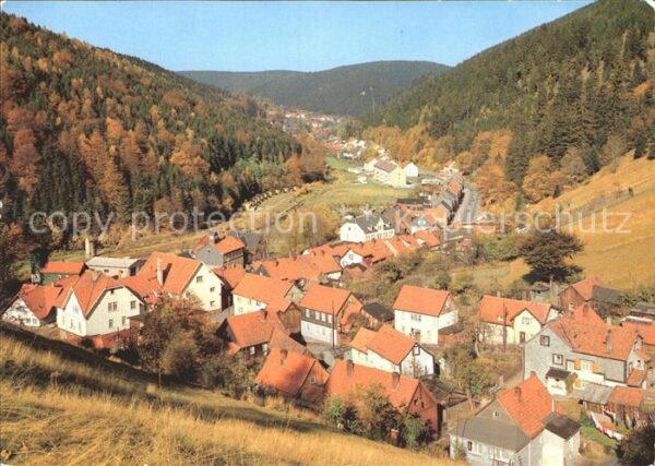 Luisenthal Panorama