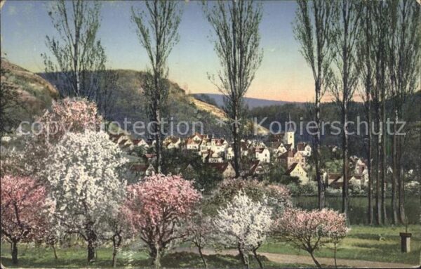 Auerbach Bergstrasse Ortsansicht im Frühling