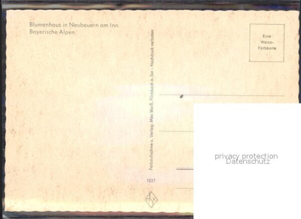 Neubeuern Blumenhaus – Bild 2