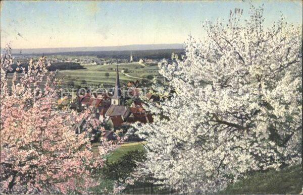 Alsbach Bergstrasse Panorama Frühlingsblüte