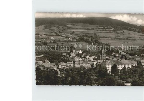 Tann Rhoen Panorama
