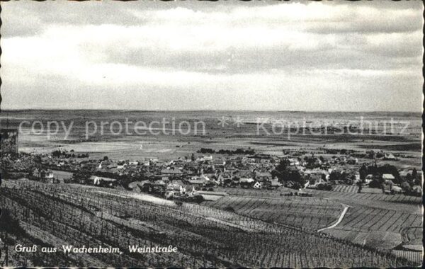 Wachenheim Weinstrasse