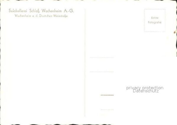 Wachenheim Weinstrasse Dom Perignon Erfinder des Sektes  im Ho – Bild 2