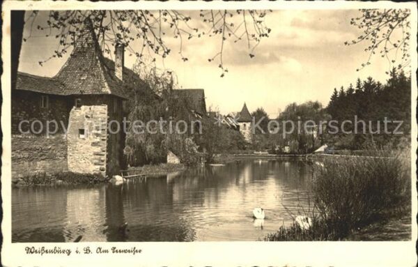Weissenburg Bayern Seeweiher Schwan
