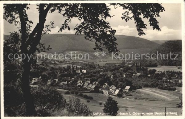 Amorbach Miltenberg Blick vom Beuchnerberg