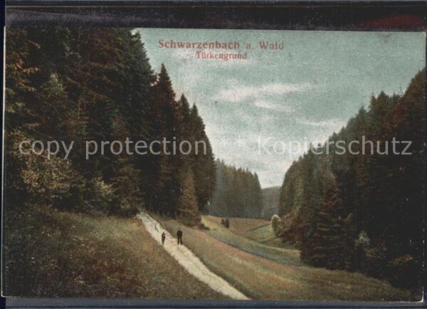Schwarzenbach Wald Türkengrund