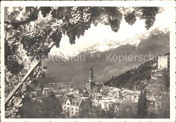 Meran Merano Traubenreife Ortsansicht