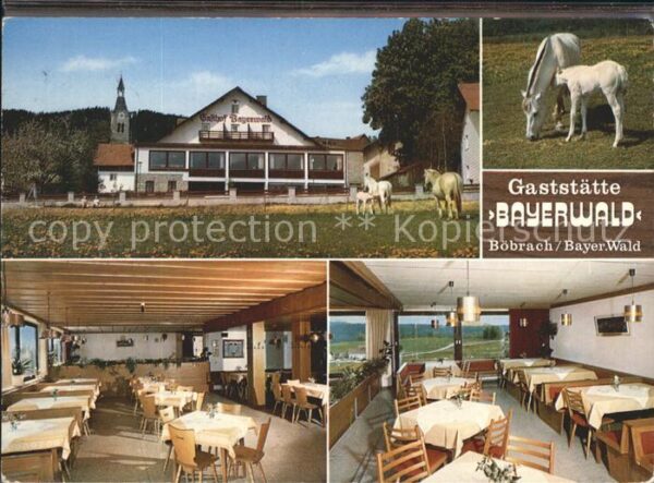 Boebrach Gaststätte Bayerwald Gasträume Stute mi