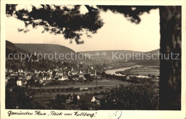 Gemuenden Main Blick vom Zollberg