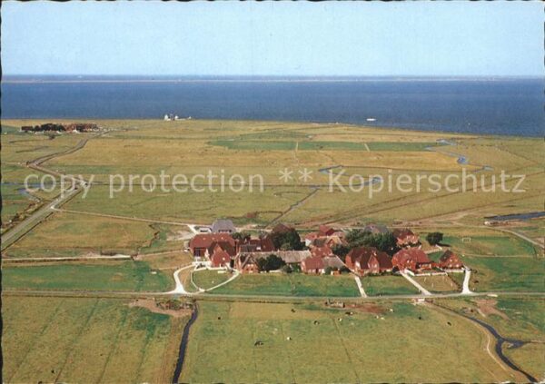 Hallig Hooge Fliegeraufnahme Hanswarft und Backenwar