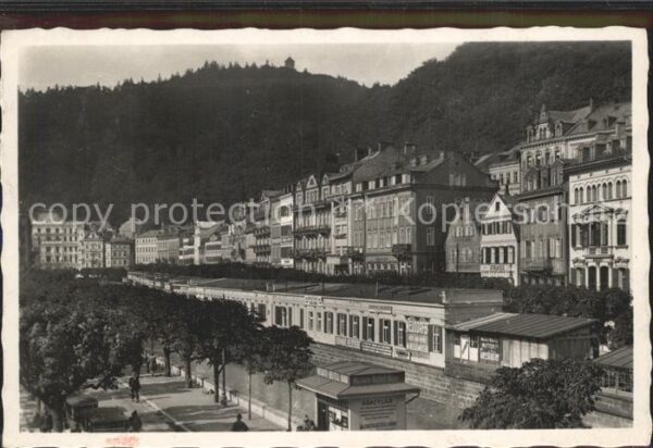 Karlsbad Eger alte Wiese