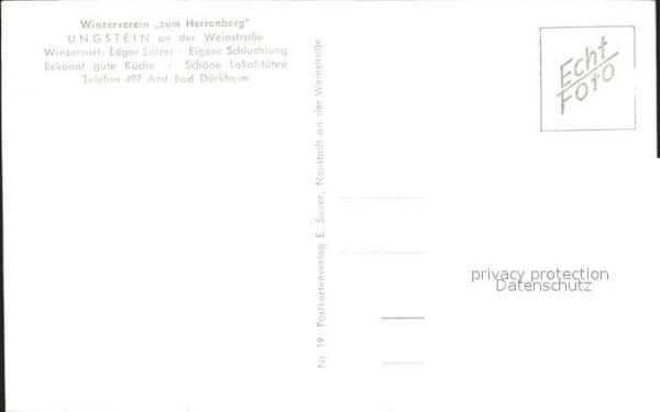 Ungstein Winzerverein Zum Herrenberg Gaststube – Bild 2
