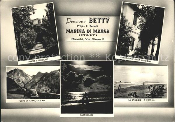 Marina di Massa Pensione Betty Pineta Particolare della