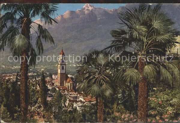 Merano Meran Teilansicht Palmen
