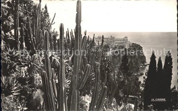 Kakteen Monaco Jardin Exotique Rocher
