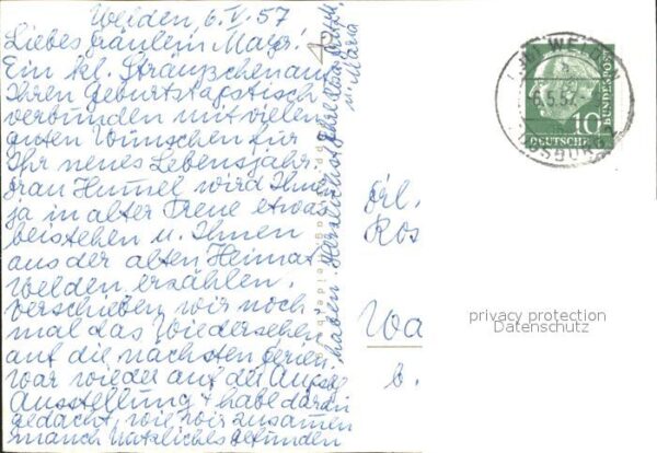 Blumen Felsenaurikel – Bild 2