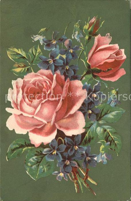 Rosen Veilchen Litho