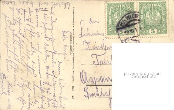 Rosen – Bild 2