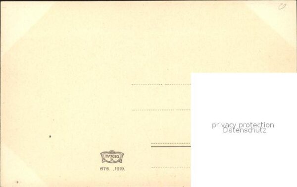 Rosen – Bild 2