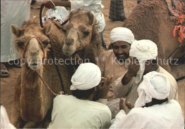 Kamel  Camel Chameau Kamelrennen Typen Arabien