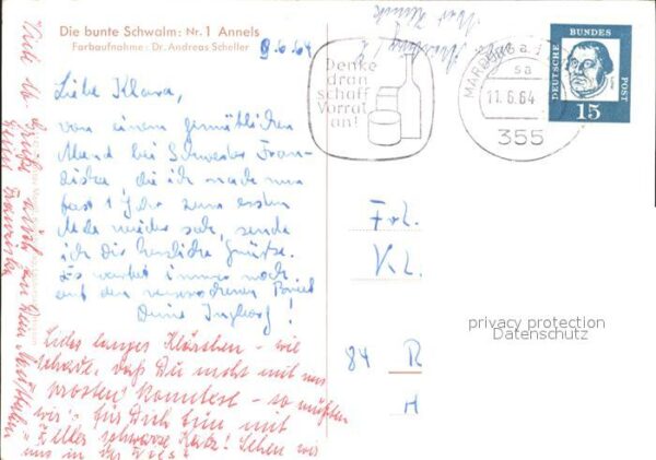 Trachten Hessen Schwalm Kind Annels – Bild 2
